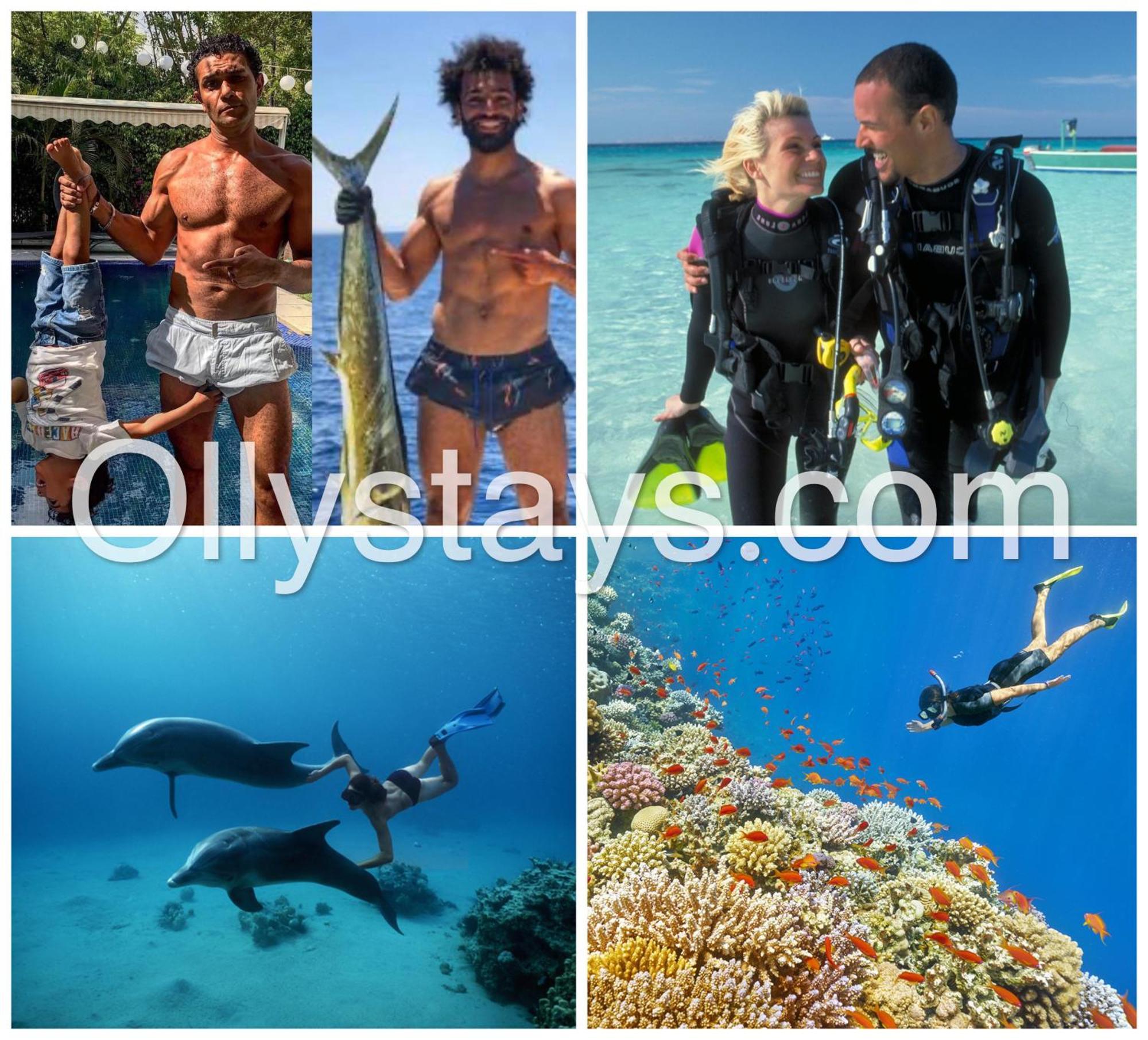 Ollystays Mangroovy Seaview 2Br Beach And Pool Free Access ฮูร์กาดา ภายนอก รูปภาพ